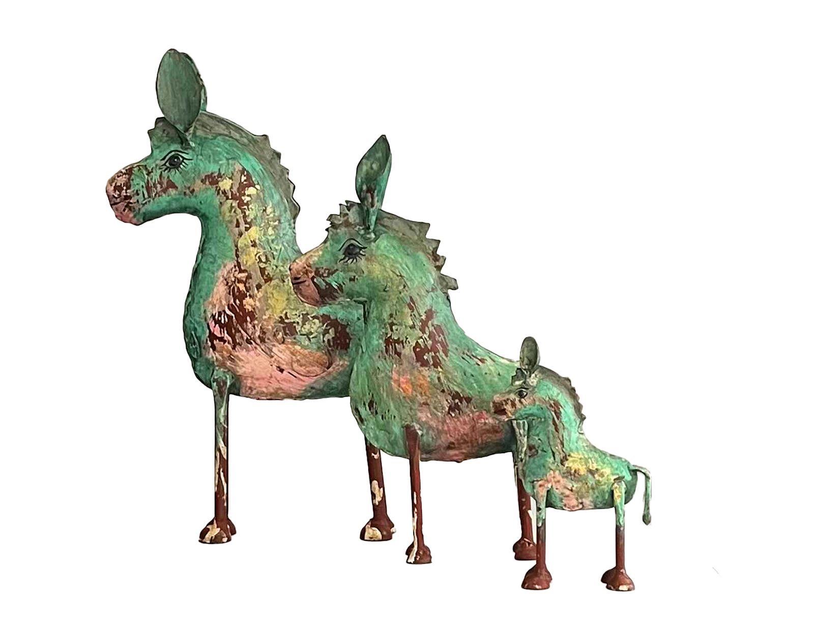 Ânes Turquoises