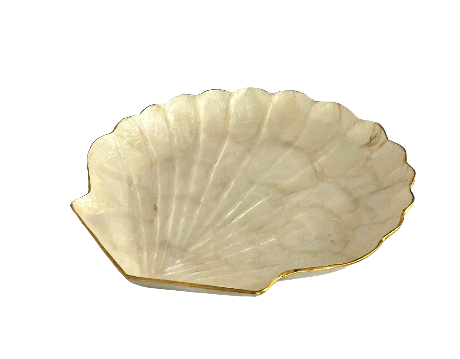 Plat Coquillage