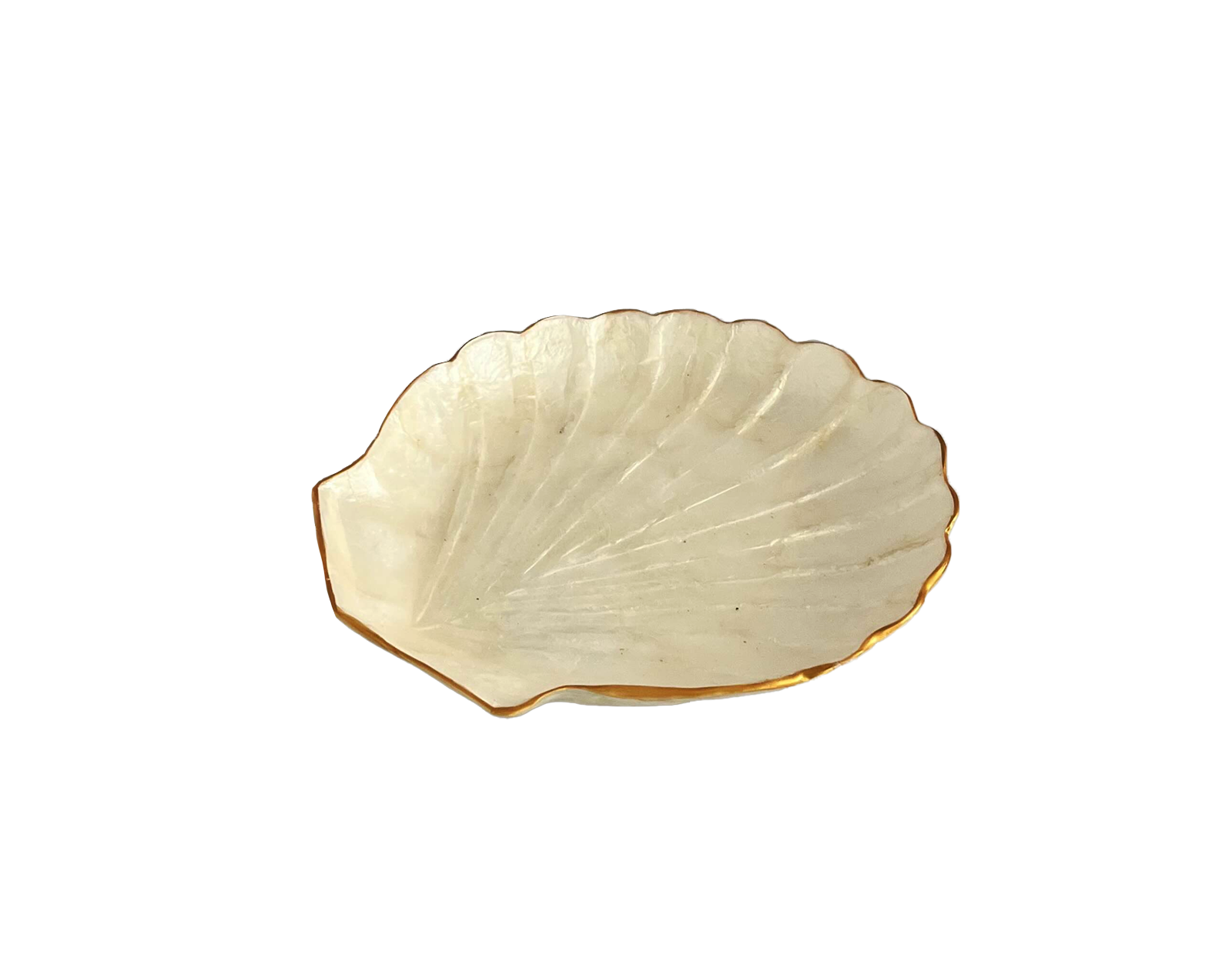 Plat Coquillage