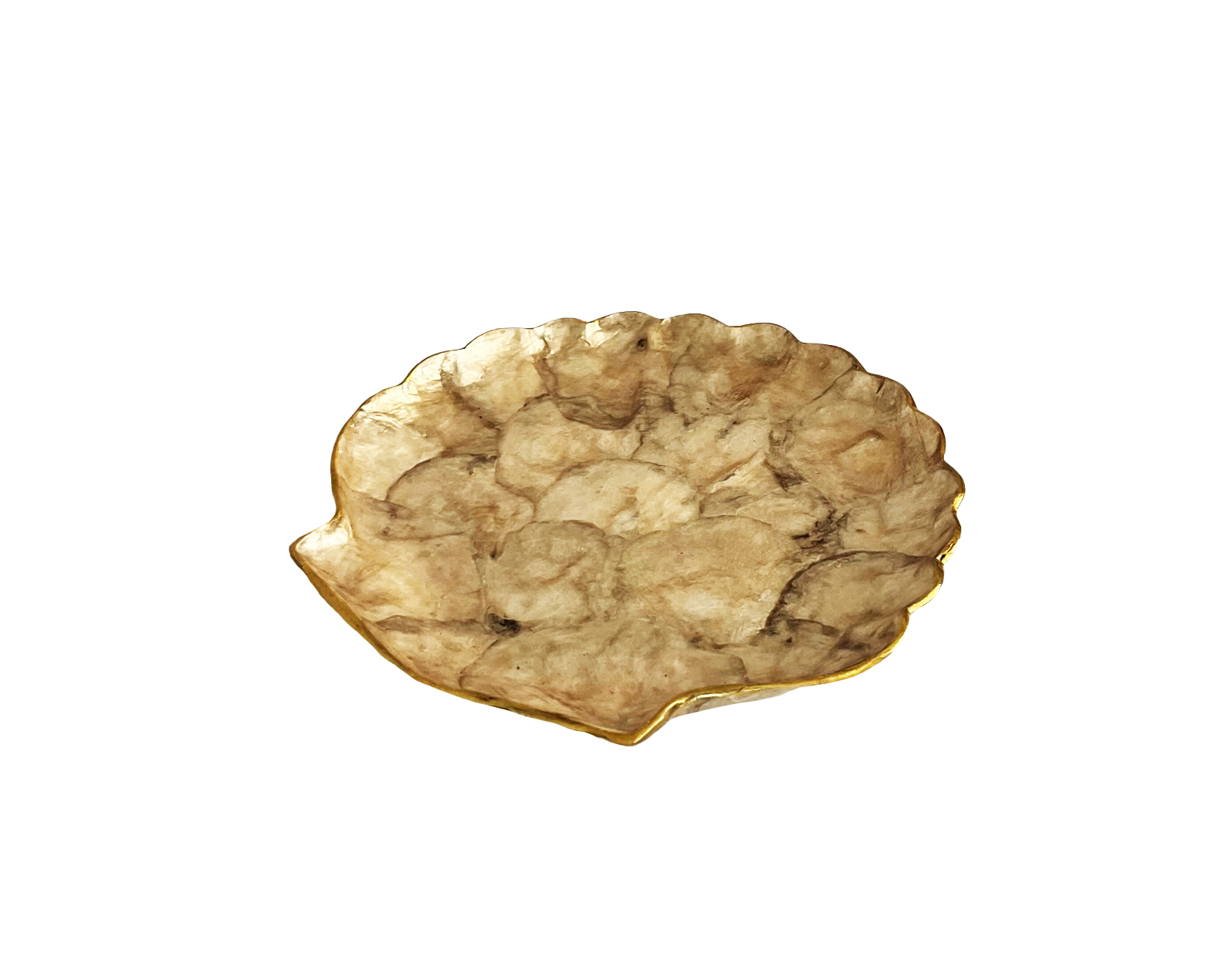 Plat Coquillage
