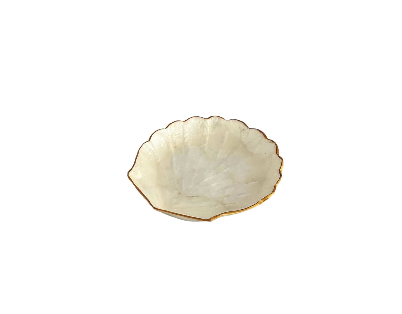Plat Coquillage