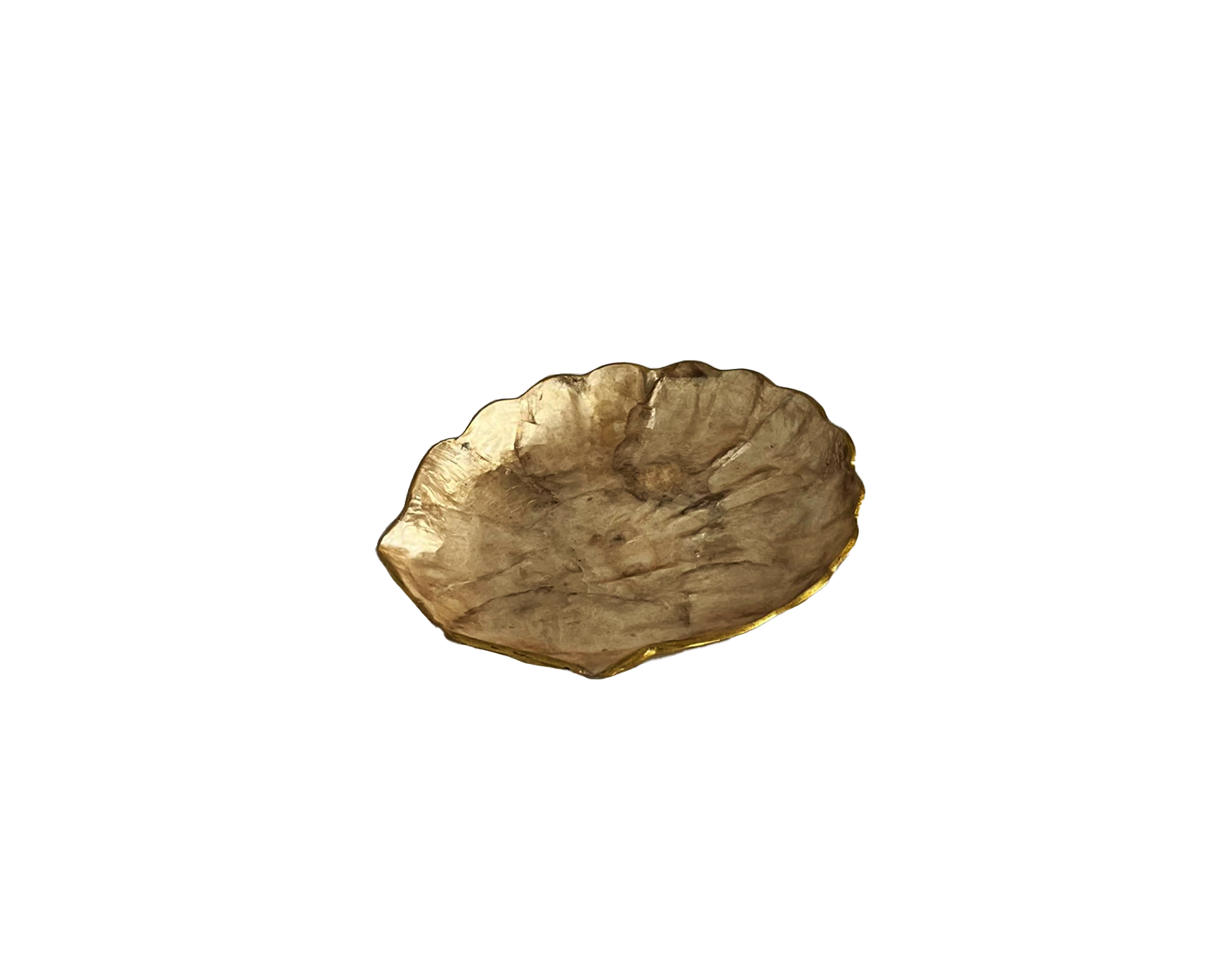 Plat Coquillage