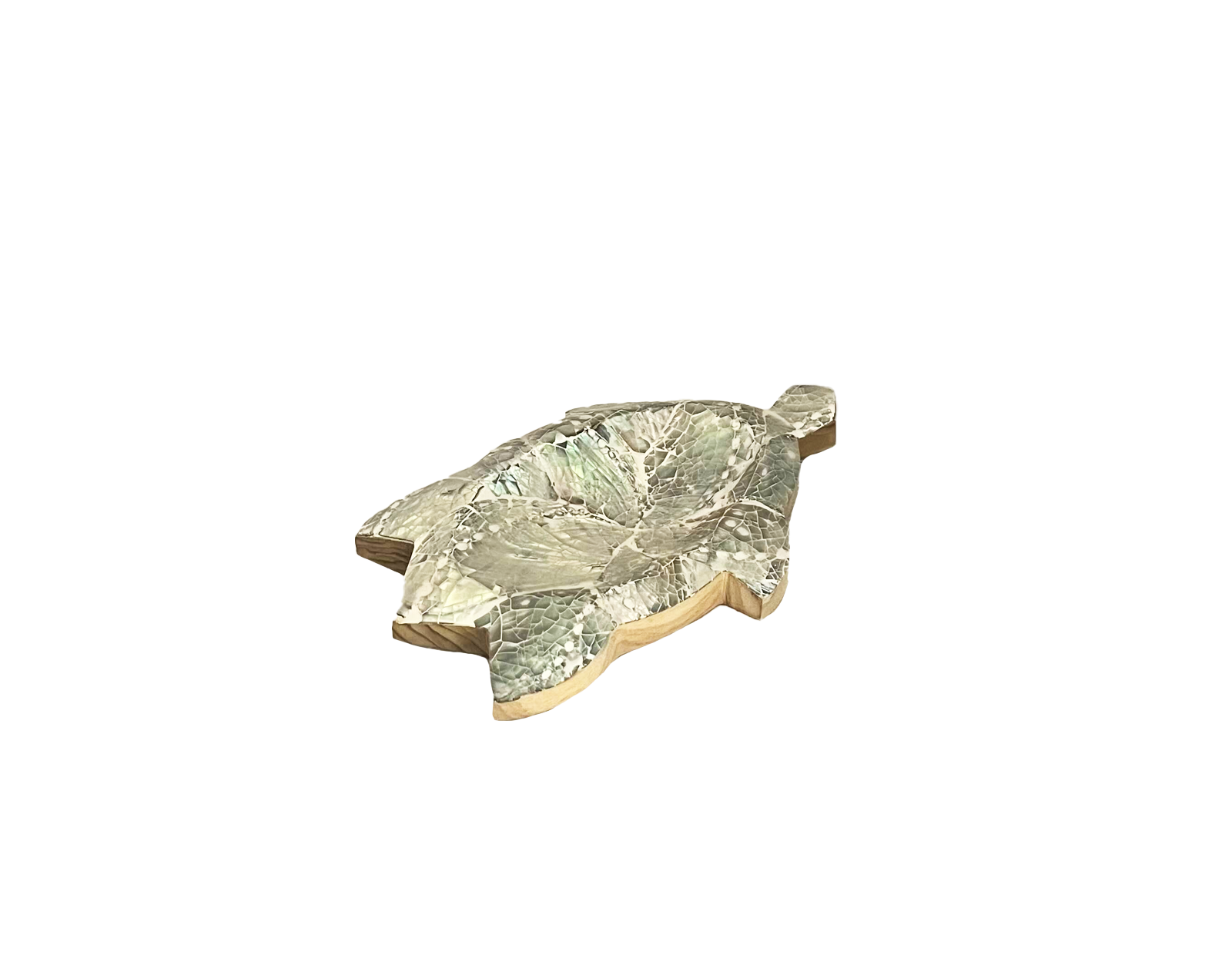 Tortue vide-poche