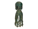 Kraken