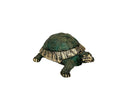 Tortue d'Hermann