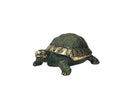 Tortue d'Hermann