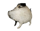 Cochons Blancs