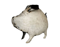 Cochons Blancs
