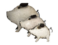 Cochons Blancs