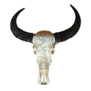 Tête de Buffle Carpe koï