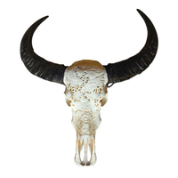 Tête de Buffle Carpe koï