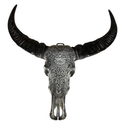 Tête de Buffle Lotus