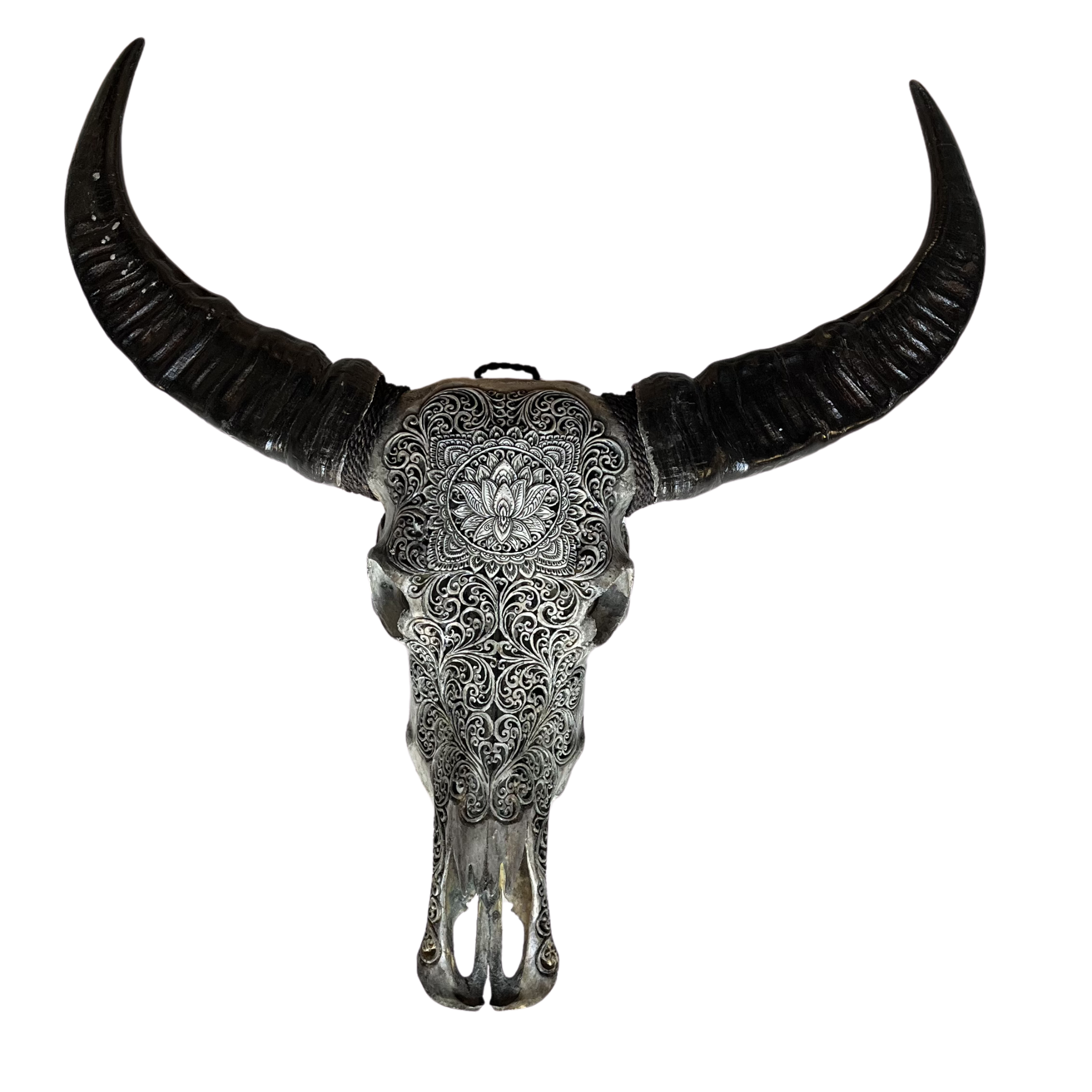 Tête de Buffle Lotus