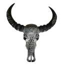 Tête de Buffle Crâne Gris
