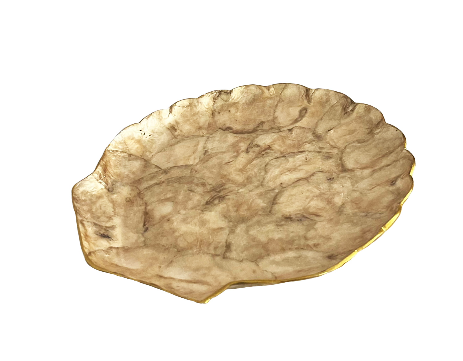 Plat Coquillage