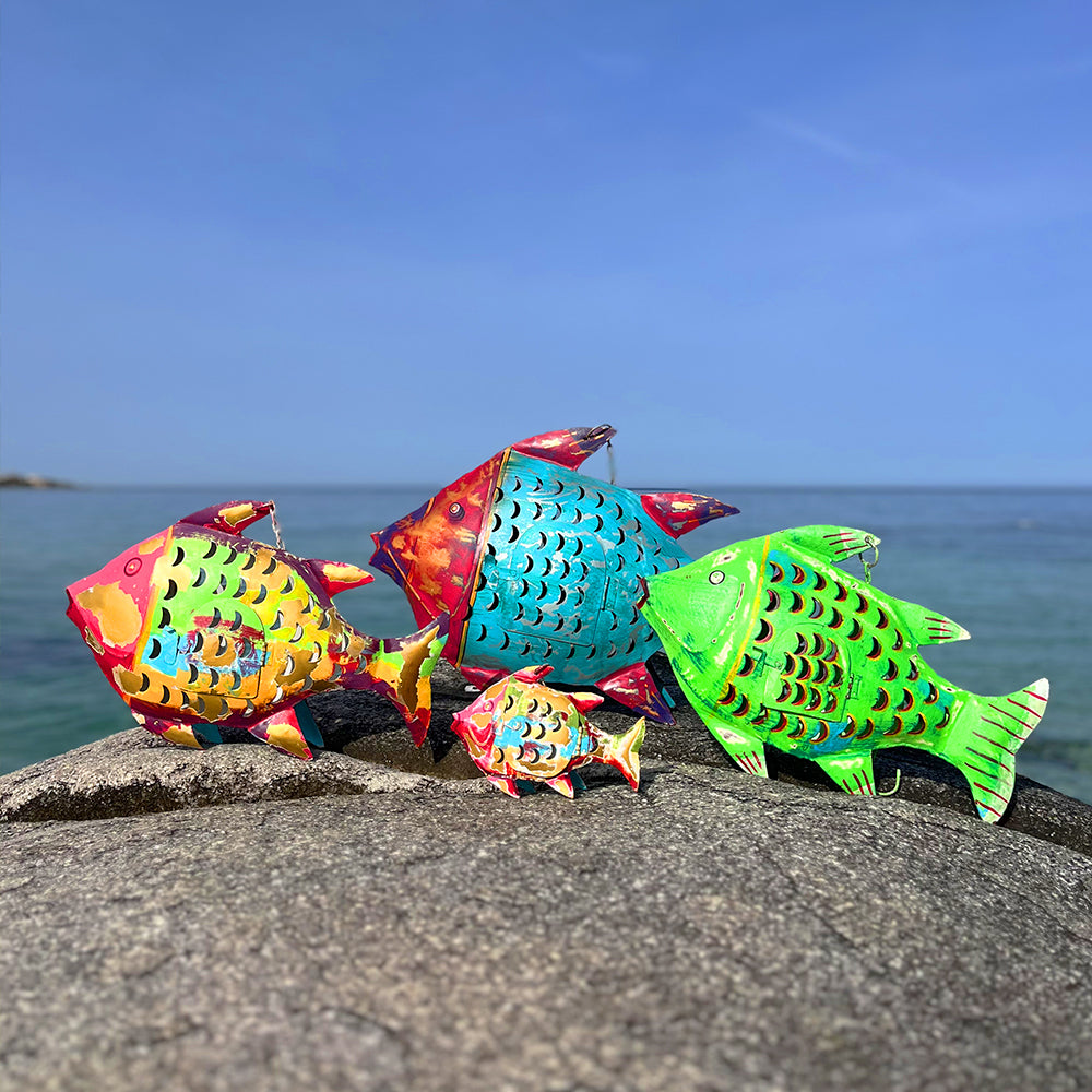 Poisson_collection_3.jpg