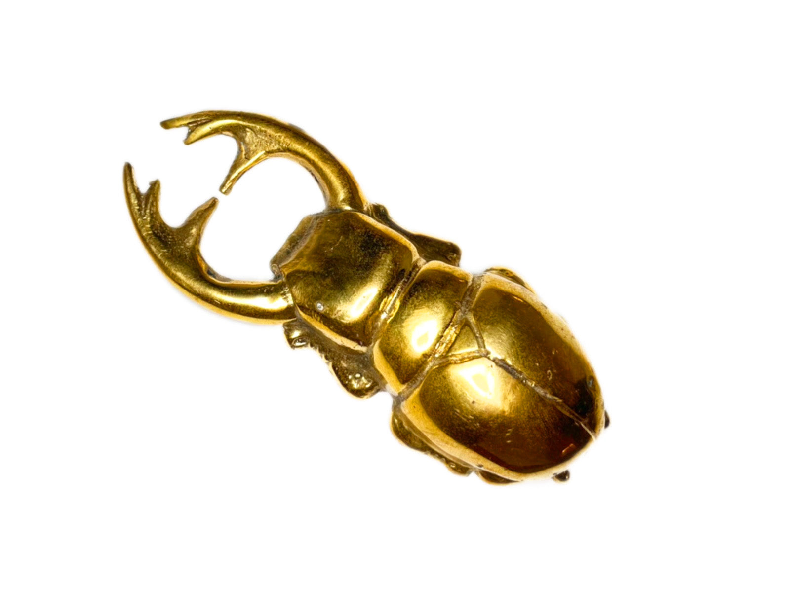 Décapsuleur Scarabée