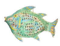 Coral Reef