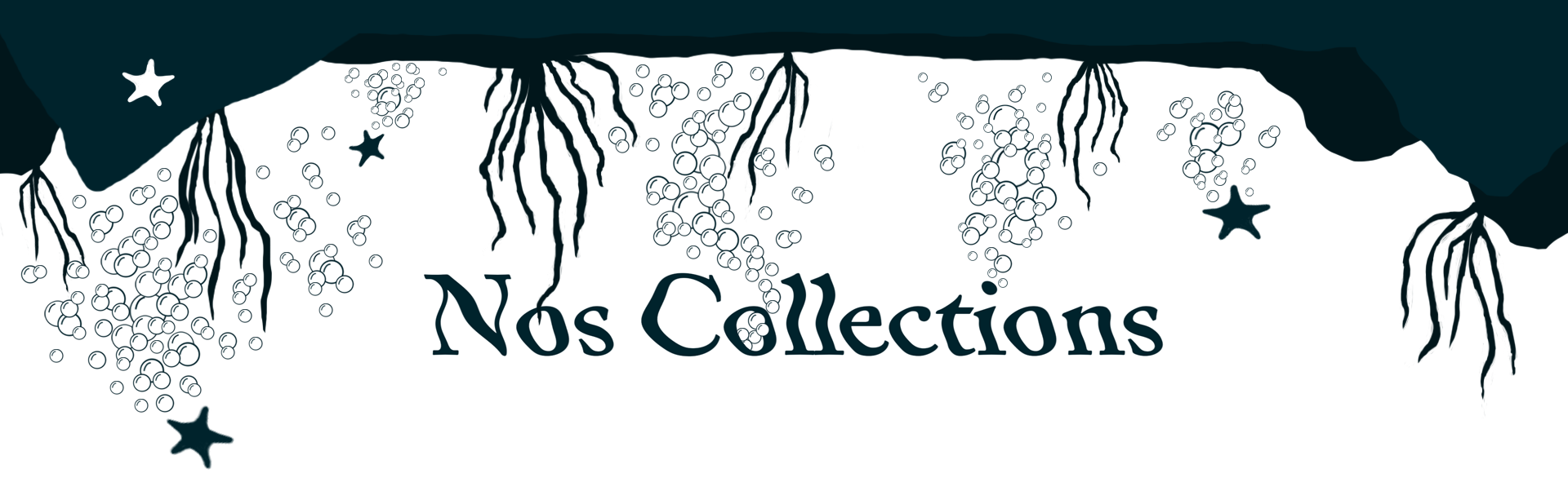 fond_Nos_collections_finish.png
