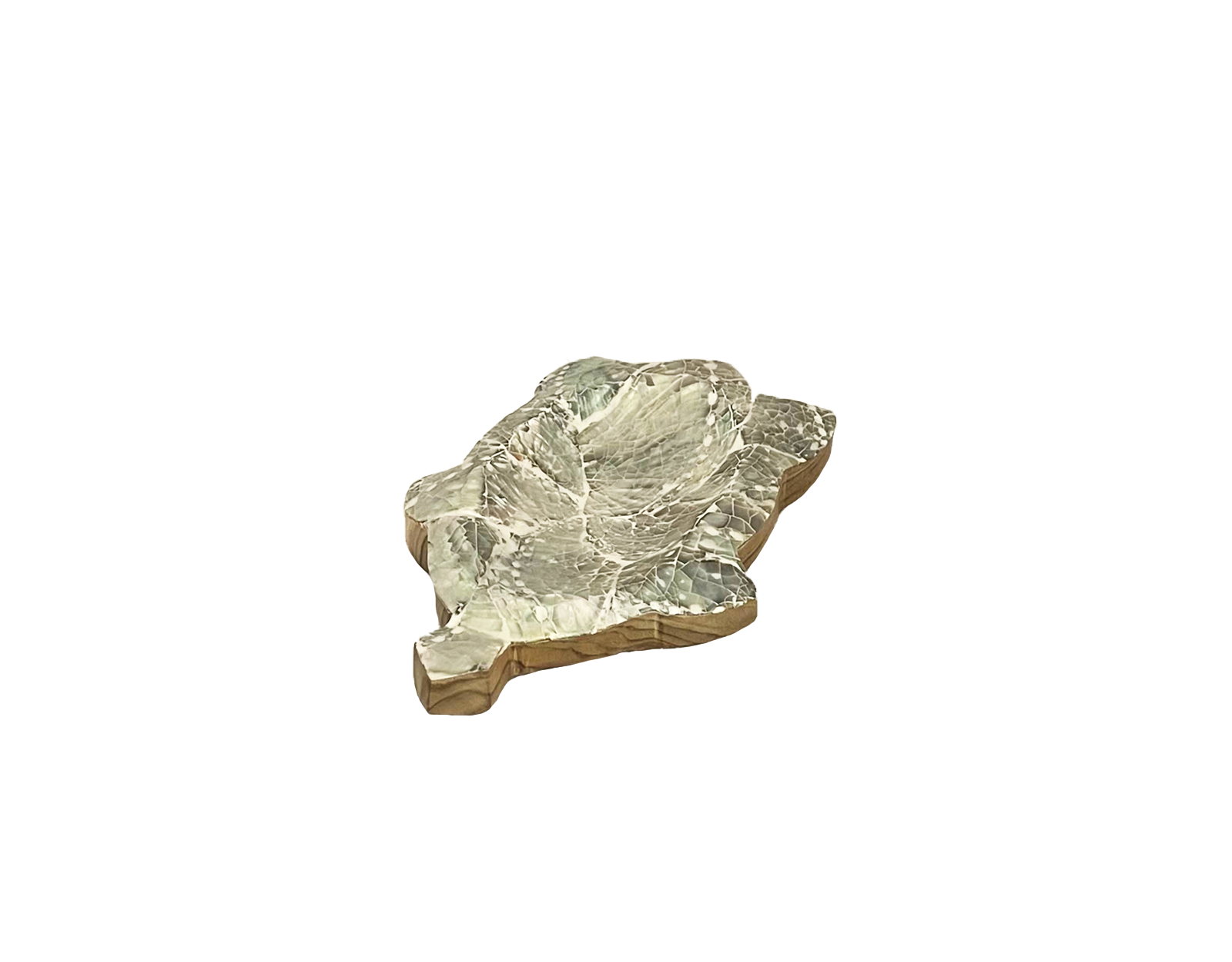 Tortue vide-poche
