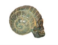 Crâne Escargot